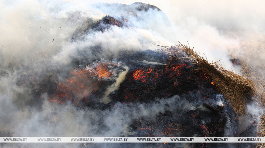 Фото из архива