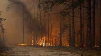 Фото из архива