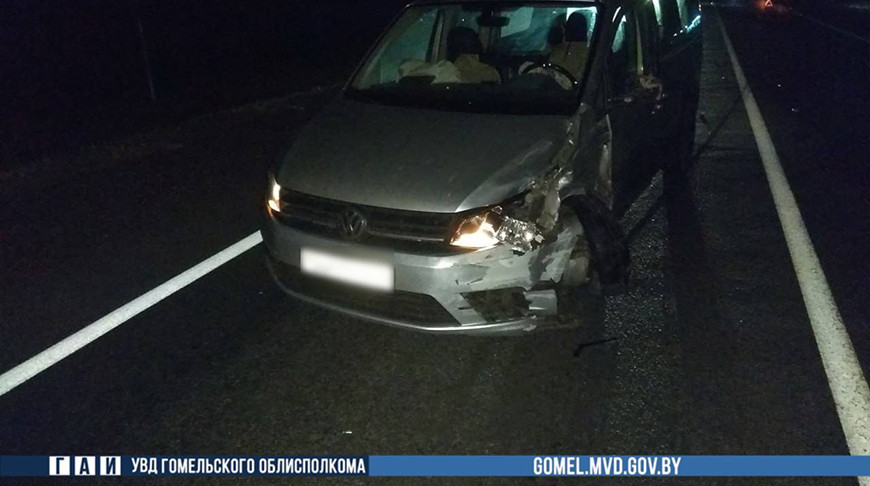 Фото ГАИ УВД Гомельского облисполкома