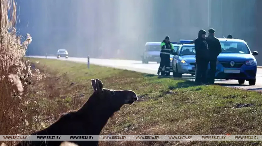 Фото из архива