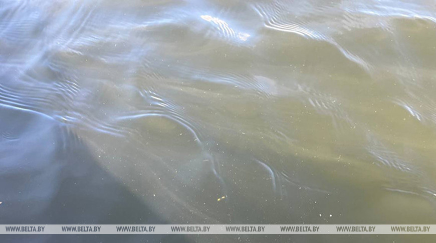 Фото из архива