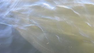 Фото из архива