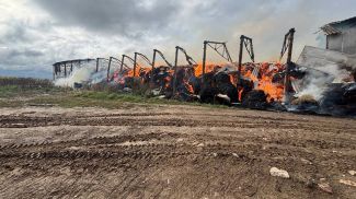 Фото Могилевского областного УМЧС