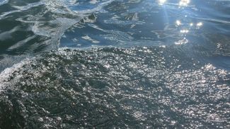 Фото из архива