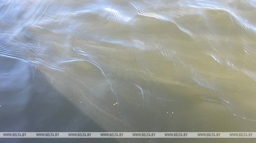 Фото из архива