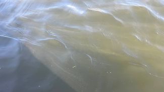 Фото из архива