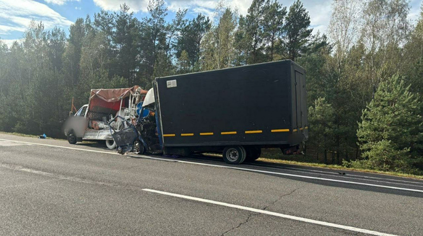 Фото УВД Брестского облисполкома