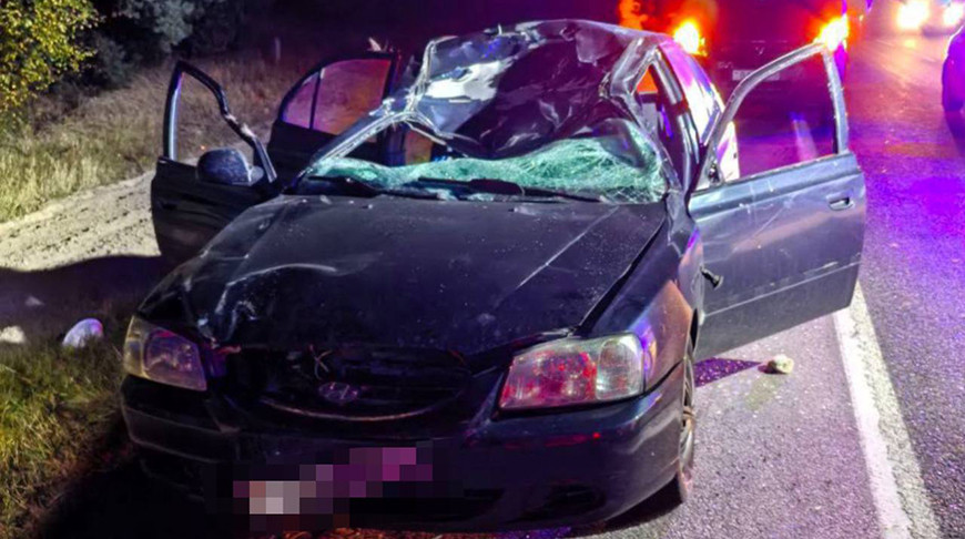 Фото УВД Гомельского облисполкома