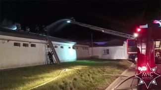 Скриншот видео МЧС