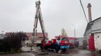 Скриншот видео МЧС