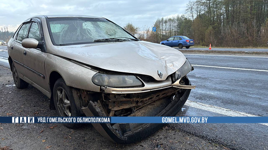 Фото УГАИ УВД Гомельского облисполкома