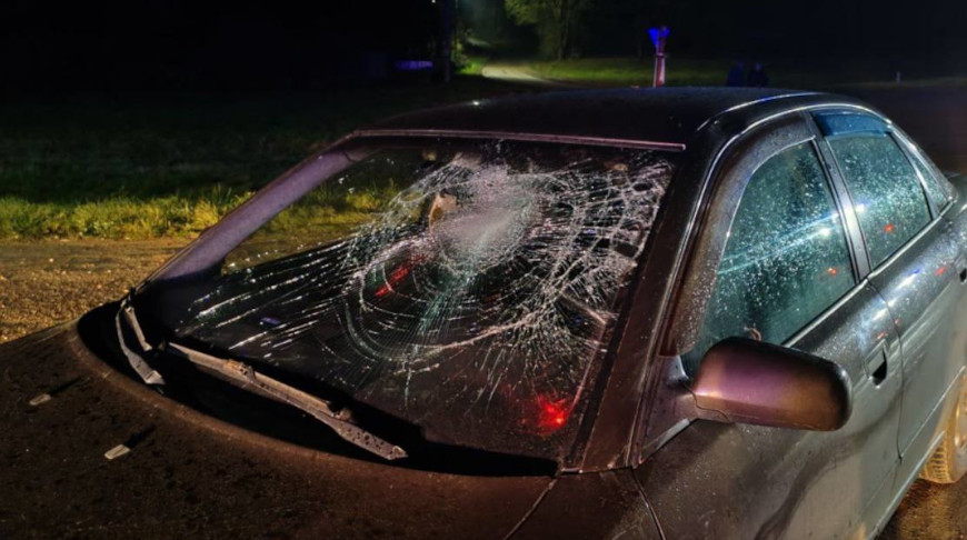 Фото УВД Гродненского облисполкома