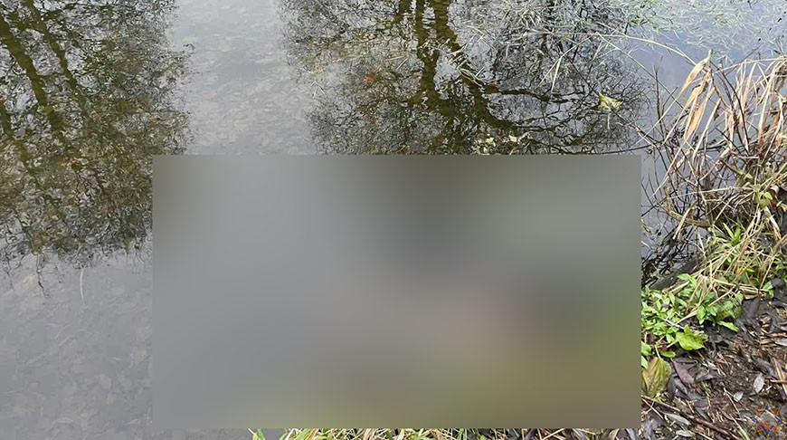 Фото Витебского областного УМЧС