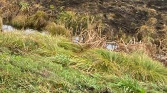 Фото ОСВОДа