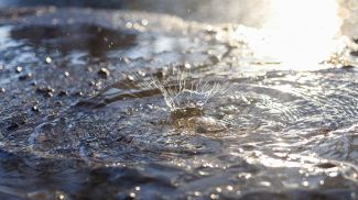 Фото из архива