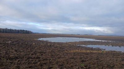 Фото ОСВОДа