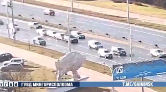 Скриншот видео