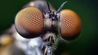 Фото китайской поисковой сети Байду