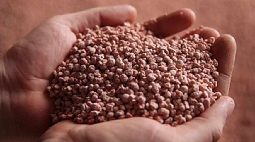 Фото belaruskali.by