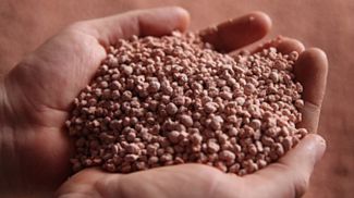 Фото belaruskali.by