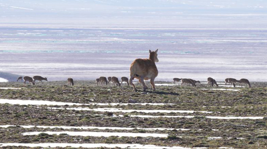Фото Синьхуа