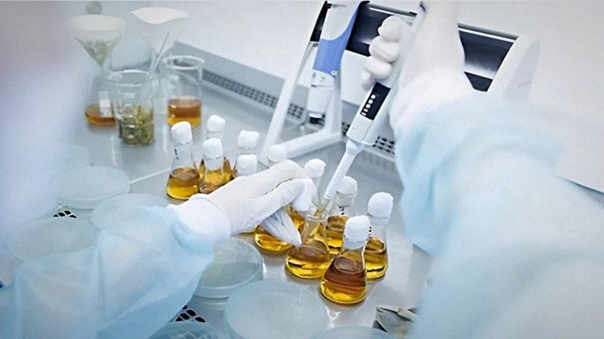 Фото tvbrics.com