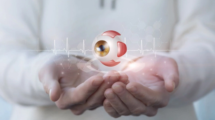 Фото Shutterstock