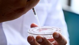 Фото globallookpress.com