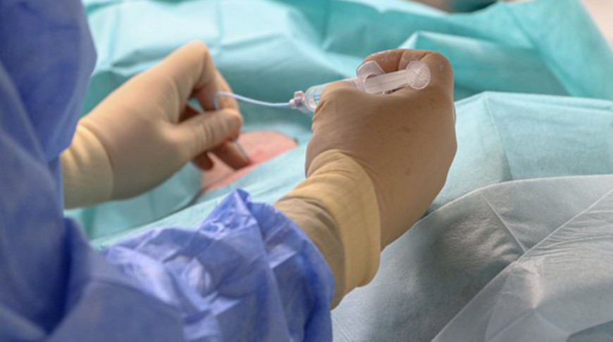 Фото Global Look Press