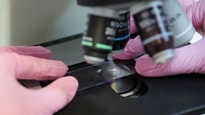 Фото из архива