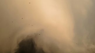 Фото Unsplash