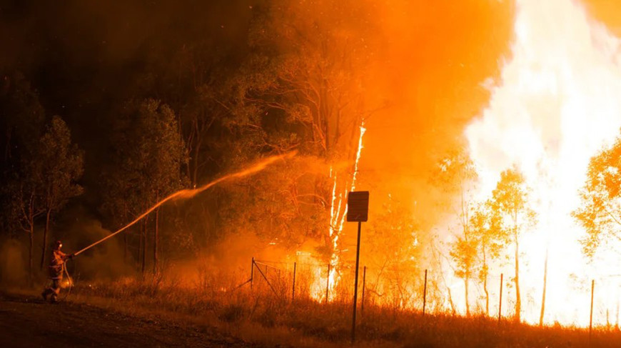 Фото: Shutterstock/FOTODOM