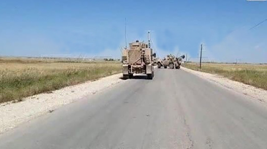 Фото из архива SANA