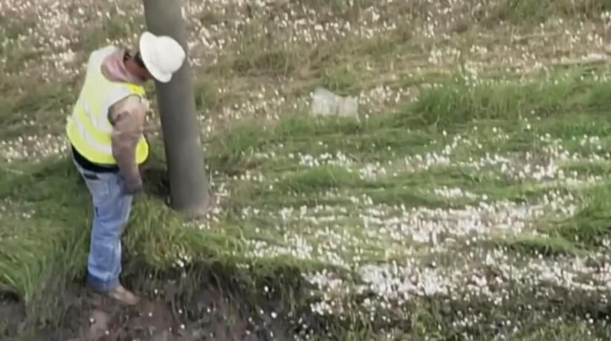 Скриншот видео AP