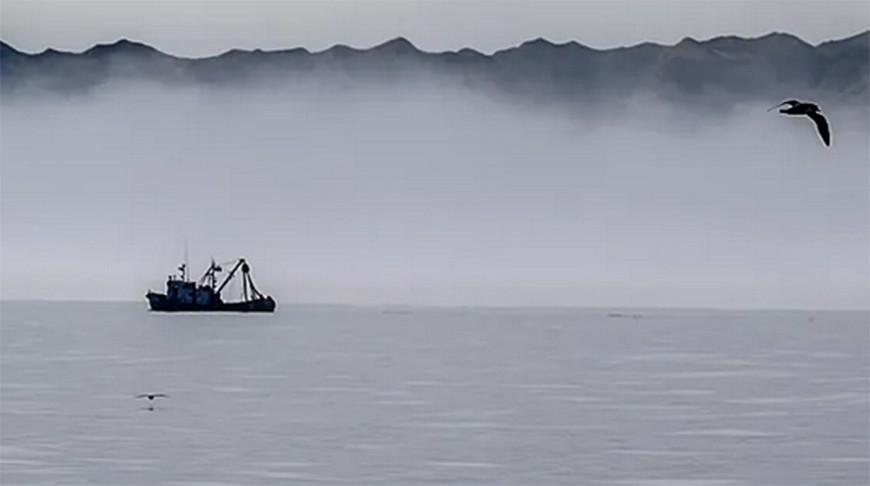 Фото  РИА Новости 