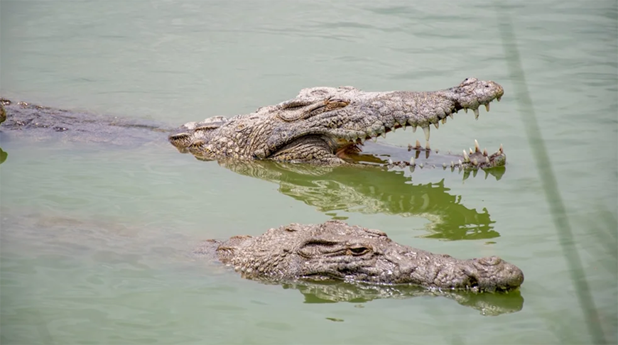 Фото Shutterstock