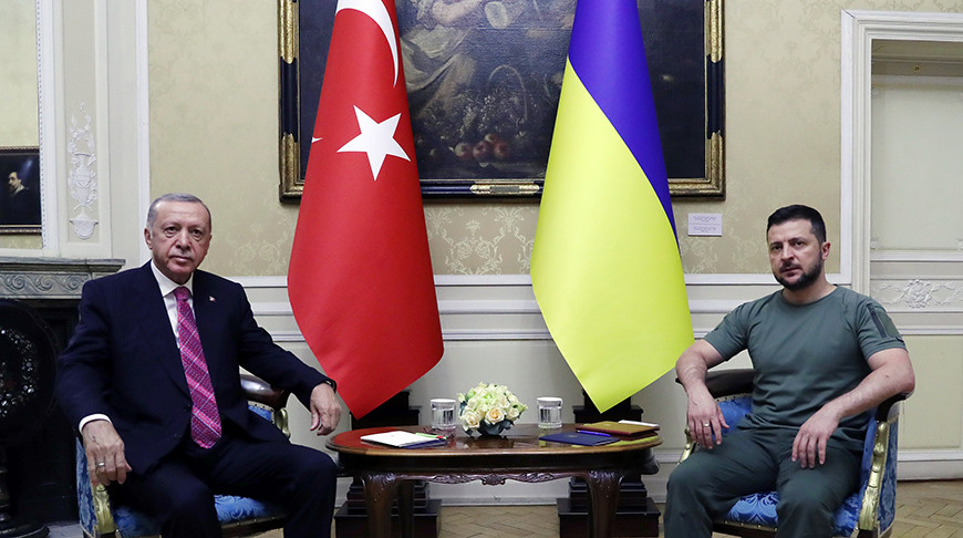 Реджеп Эрдоган и Владимир Зеленский. Фото из архива Агентства Анадолу