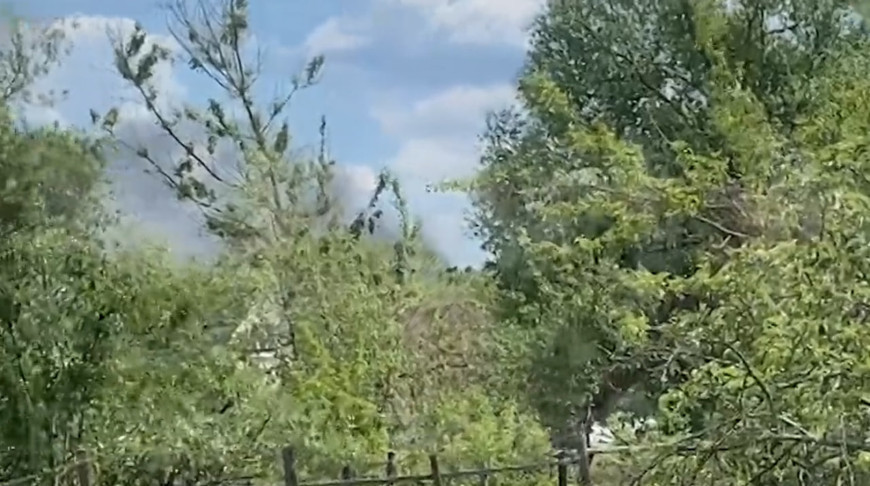 Скриншот видео соцсети Х