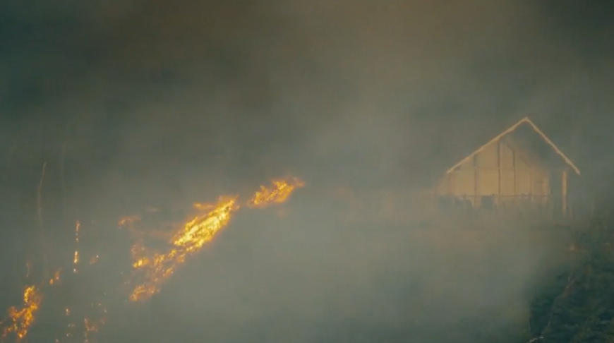 Скриншот видео globalnews.ca