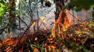 Фото РИА Новости