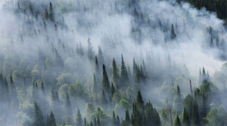 Фото  РИА Новости 