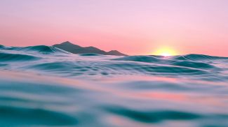 Фото Unsplash Фото Unsplash