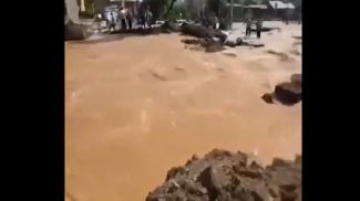 Скриншот видео РИА Новости
