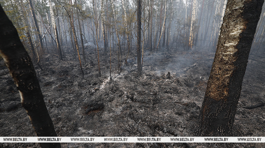 Фото из архива