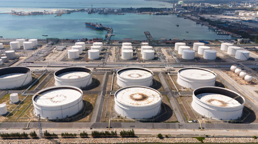 Фото Shutterstock