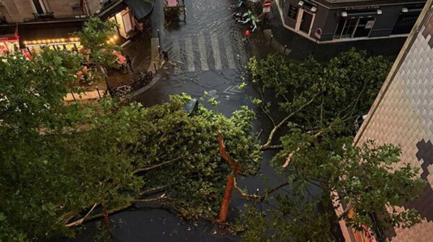 Фото из социальных сетей