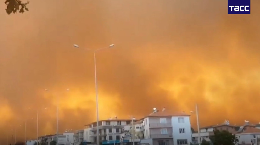 Скриншот видео ТАСС