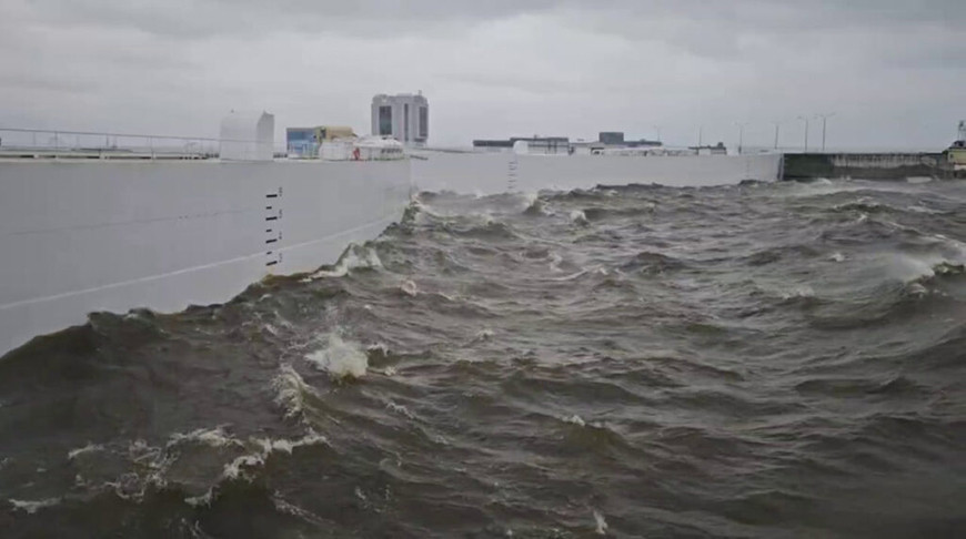 Скриншот видео РИА новости