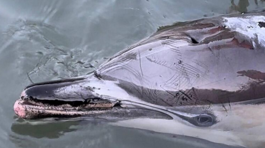 Фото центра "Безмятежное море"