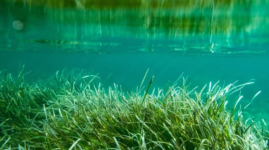 Фото Shutterstock/FOTODOM